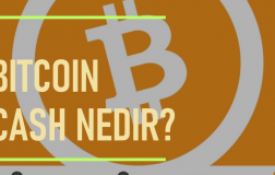 Bitcoin Cash Nedir? BCH Para Kazandırır mı?