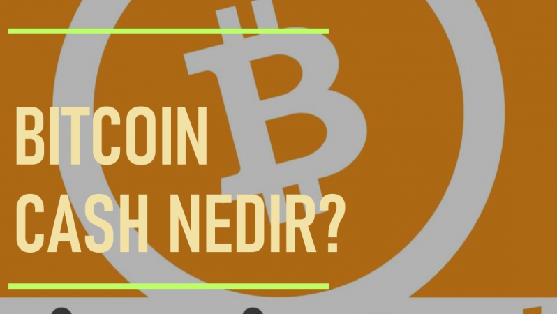 Bitcoin Cash Nedir? BCH Para Kazandırır mı?