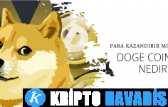 Doge Coin Nedir? Para Kazandırır mı ?