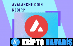 Avalanche Coin Nedir? Para Kazandırır mı ? Avax Nedir?