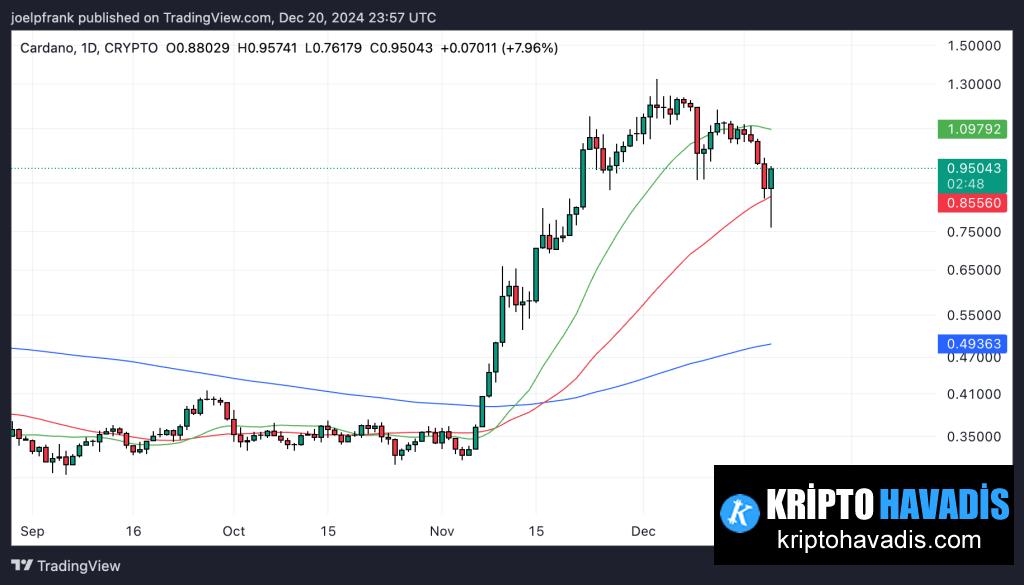 Crypto Crash Hits Cardano Hard – Can ADA Hold $1 and Start 2025 Strong?